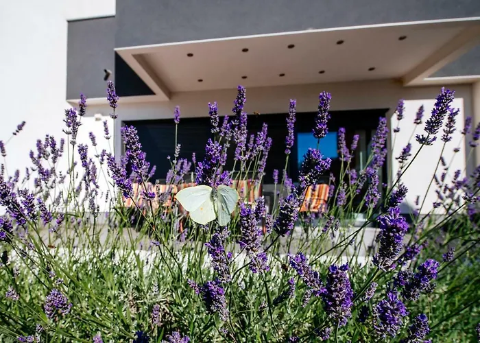 Boutique Nirvana Kosljun