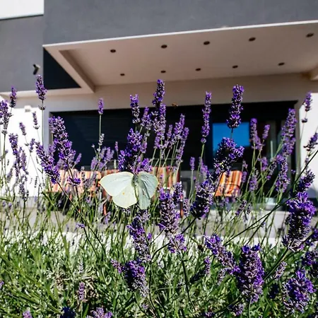 Boutique Nirvana Košljun