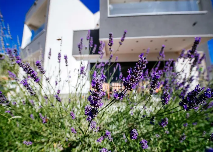 Boutique Nirvana Apartmán *