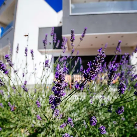 Boutique Nirvana Lejlighed *